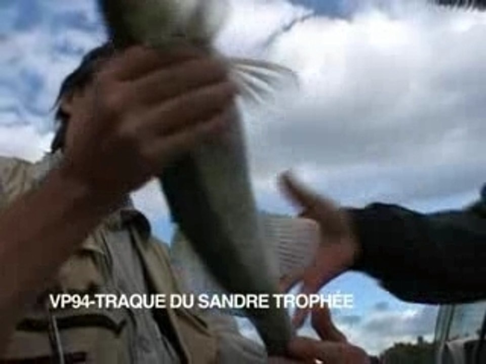 TRAQUE DU SANDRE TROPHÉE