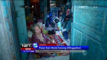 Proses Pengosongan Kawasan Pasar Ikan, Penjaringan - NET5