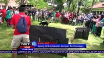 Dari Anjing Hingga Reptil Ikut Ramaikan Acara Pet Day Care - NET12