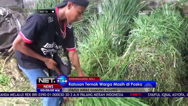Pengungsi Zona Aman Gunung Agung Diperbolehkan Pulang - NET24
