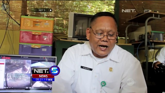 Badak Berumur 15 Tahun Melahirkan Seekor Badak Betina - NET5