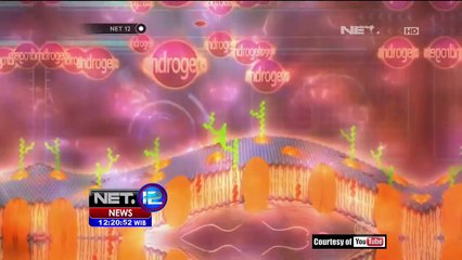 Ikatan Dokter Indonesia Tolak Kebiri Kimia - NET12