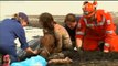 Horse Stuck In Mud Australia Astro Rescued After Three-Hour Ordeal On Geelong Beach