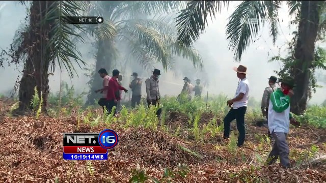 Jejak Peristiwa: Ribuan Hektar Lahan Kembali Menyala - NET16
