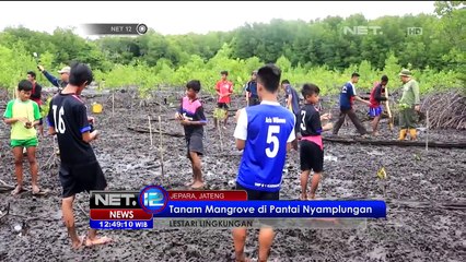Tanam Mangrove di Pantai Nyamplungan - NET 12