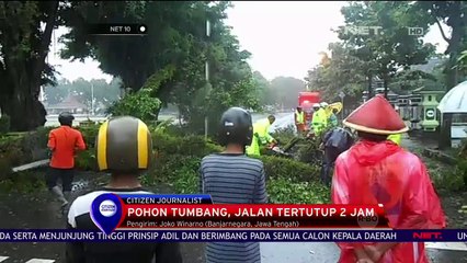 Pohon Tumbang, Jalan tertutup 2 Jam di Banjarnegara - NET 10
