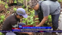 Rumah Baru Untuk Orang Utan - NET16