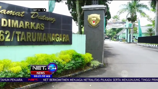 Viral Patung Harimau Bertampang Ramah dan Lucu - NET24