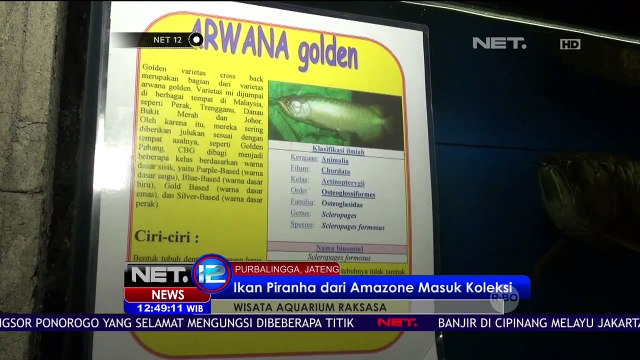 Belajar Sambil Berwisata di Taman Aquarium Raksasa di Purbalingga - NET12