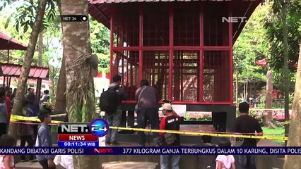 Ibu Jari Seorang Balita Putus Digigit Siamang - Net 24