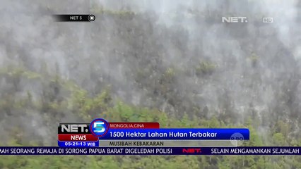 Tải video: 1500 Hektar Lahan Hutan Terbakar - NET5