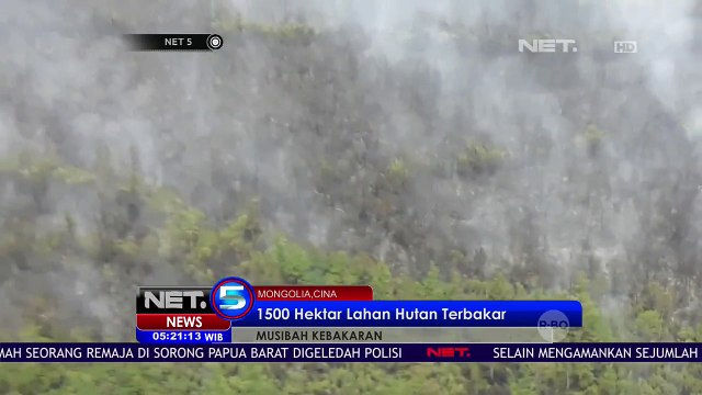 1500 Hektar Lahan Hutan Terbakar - NET5