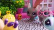 Minişler Yavru Kedi | LPSEM miniş videoları izle - Littlest Pet Shop masalları