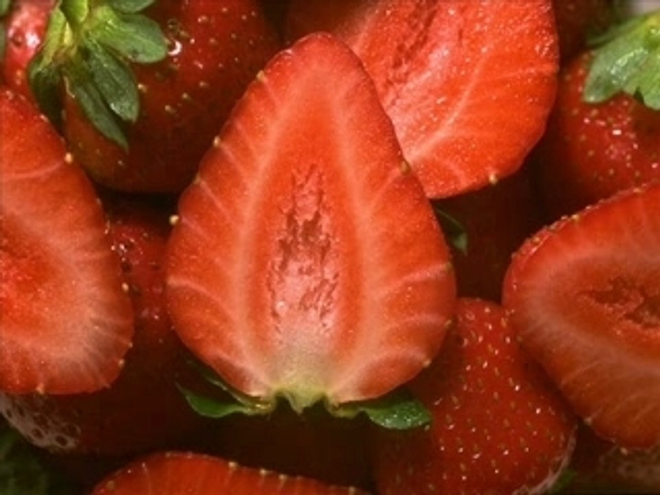 Gogol bordello, east infection