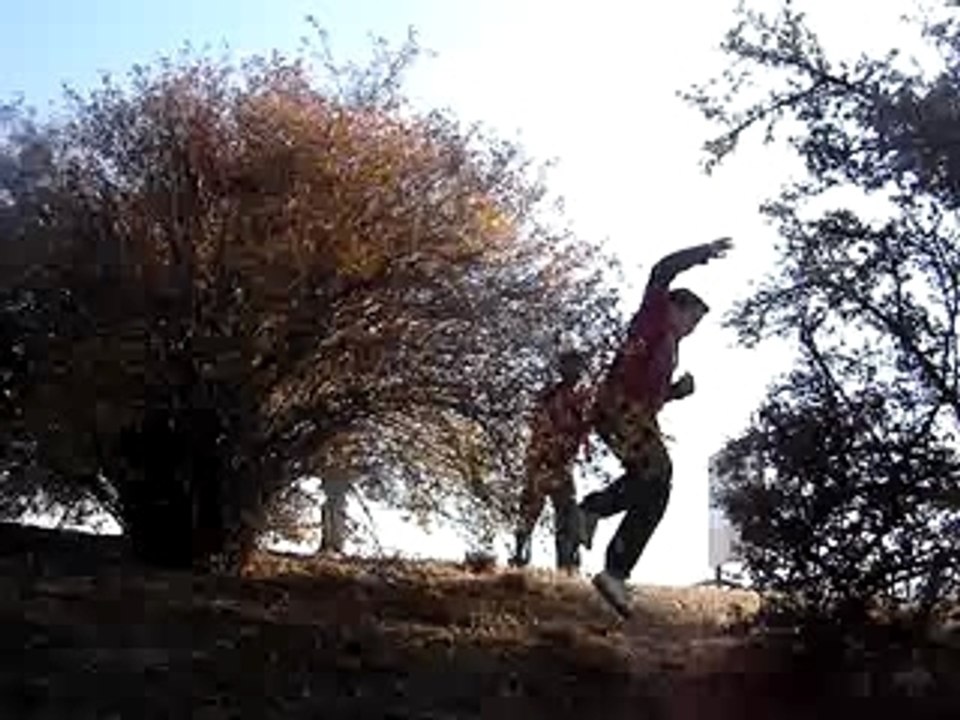 Buisson spider man