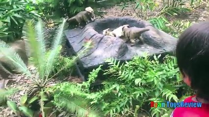 GIANT LIFE SIZE DINOSAUR Theme Park Dinosaurs at the Zoo Family Fun Amusement Activity Kid