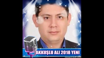 akkuşlu ali  Dertli Dertli 2018