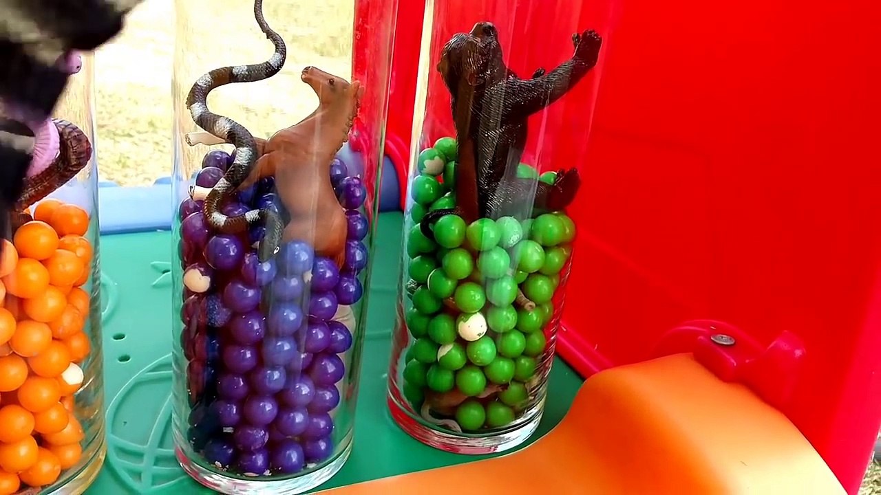 Food Cycle/Alligators Attacking Farm Animals/Lion Attacks The Alligators/Learn ZOO Animals And Color