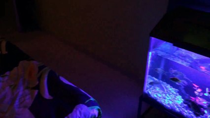 UNWANTED/UNBORN FEMALE CHILD SHORT FILM