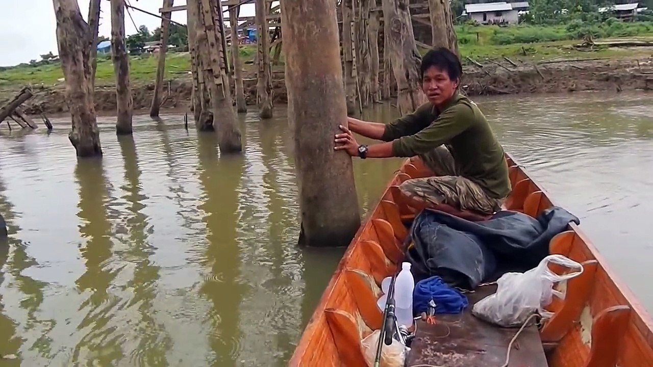 คนมอญตกปลาธรรมชาติได้บนสะพานมอญ Mon Fishing