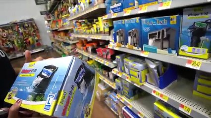 MICRO Fishing for New PET FISH!!!