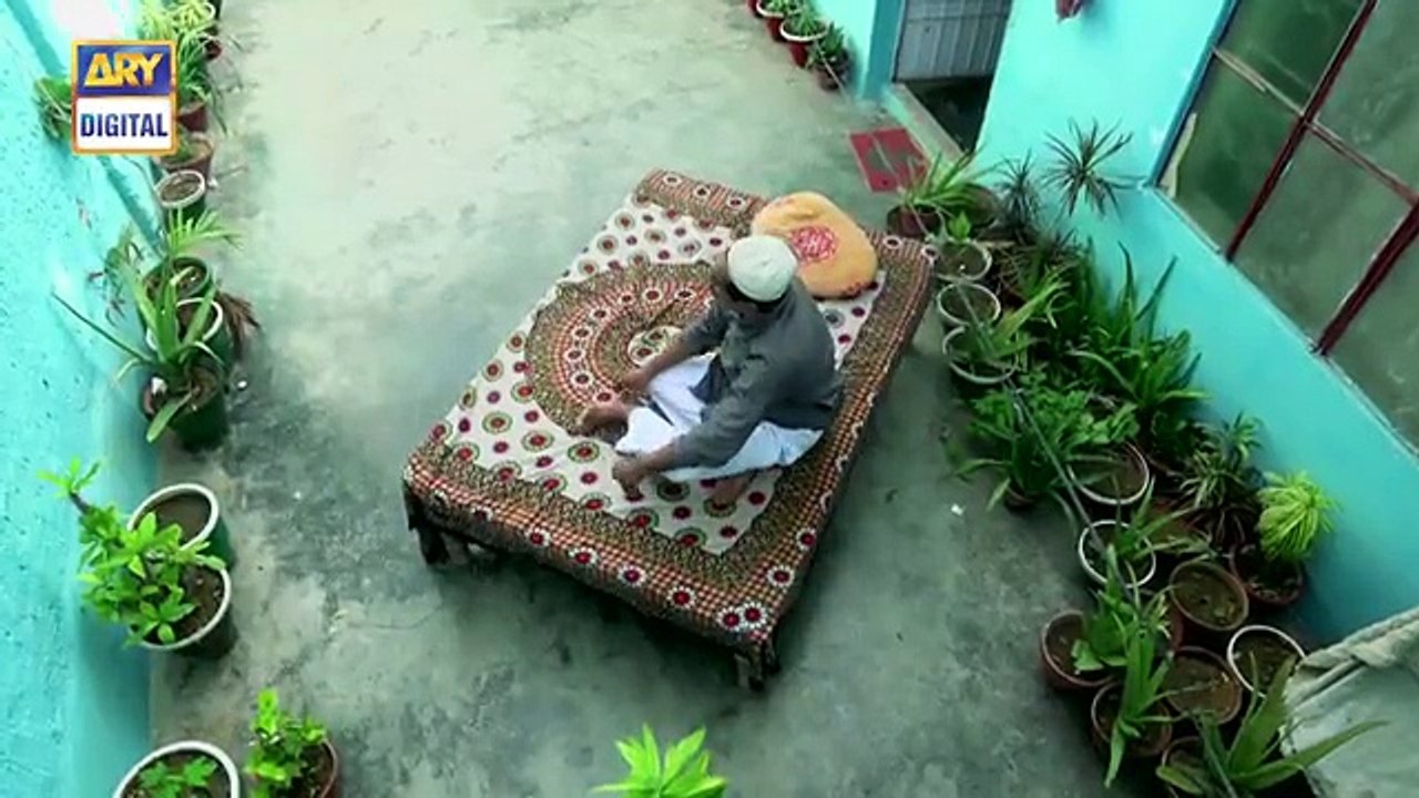 Shiza Episode 29