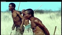 Human Mammal, Human Hunter - Attenborough - Life of Mammals - BBC