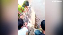 Kids Go Fishing And Catch A Crocodile