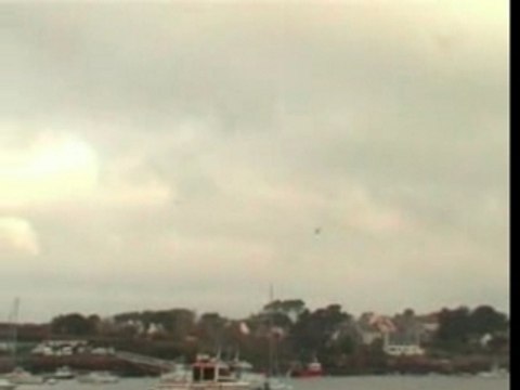 Vols de goêlands crt 4