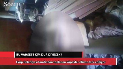 Bu vahşete kim dur diyecek?