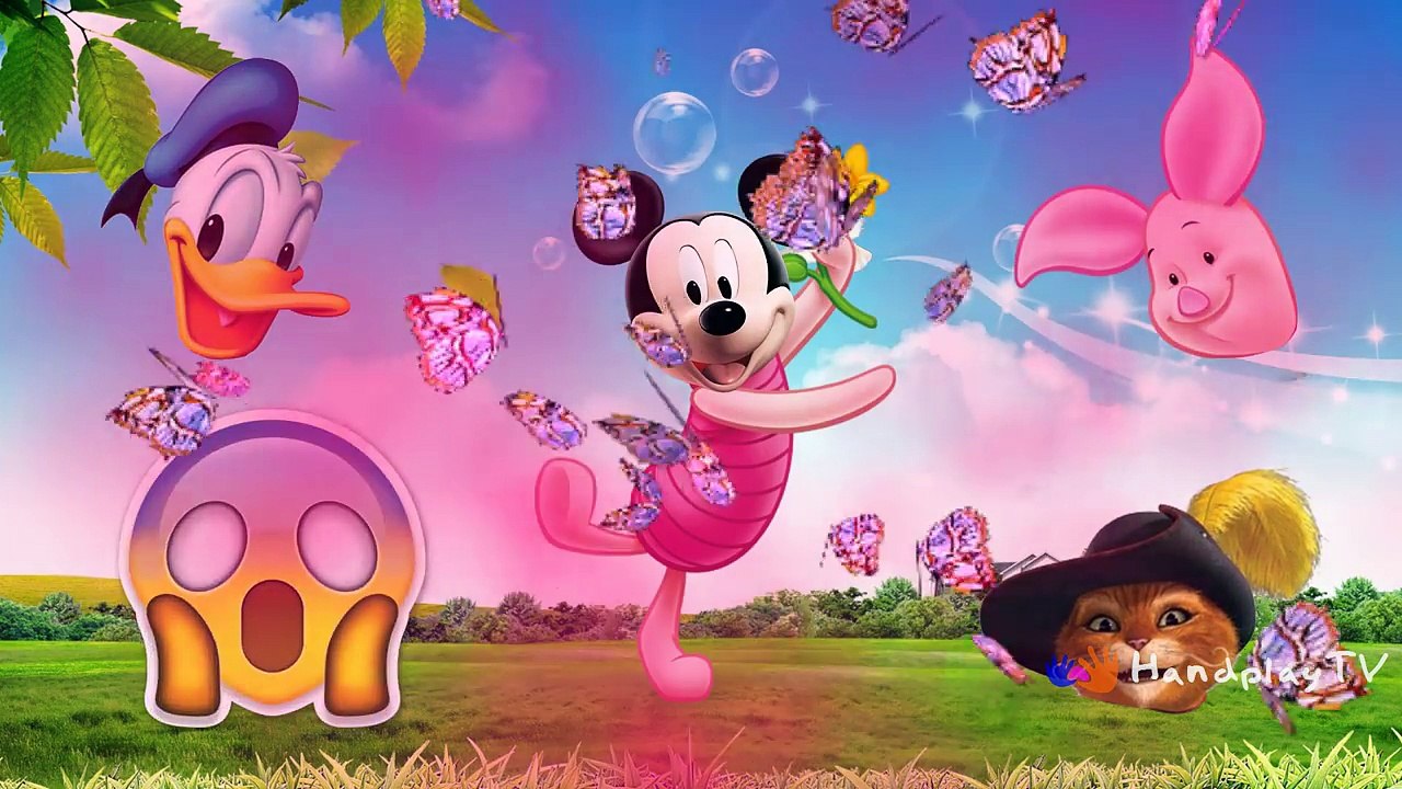 Wrong Heads with Farm Animals