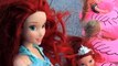 Anna and Elsa Toddlers Swimming Pool Great Flamingo Race Chelsea Ariel Rapunzel Barbie Bath Floaties