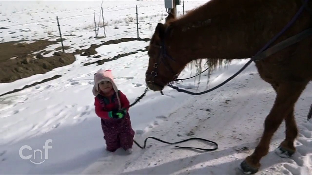 Cette petite fille balade son cheval Mustang dans la neige