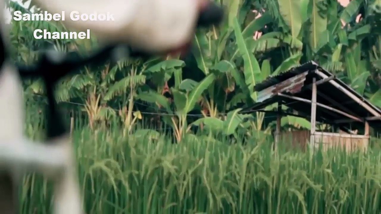 Wulidal Musyarrof Sholawat Nabi Clip Muslim Prewedding