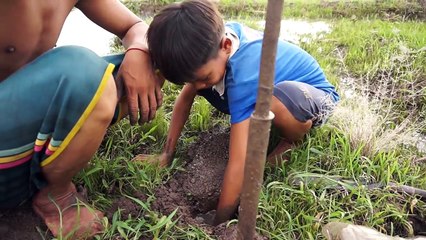 Easy 3 Deep Holes Fishing Trap by Using Water bottles - Cambodian Traditional Fishing