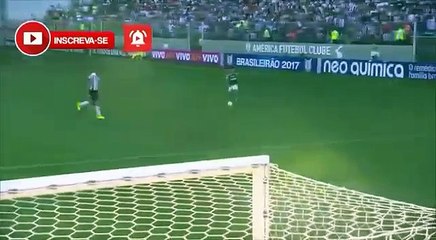 VASCO x CORITIBA • AO VIVO • BRASILEIRÃO 21102017