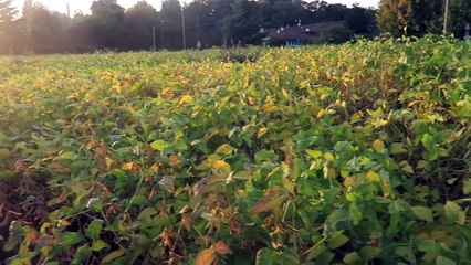 ADULT DECISIONS | Marzia Makes