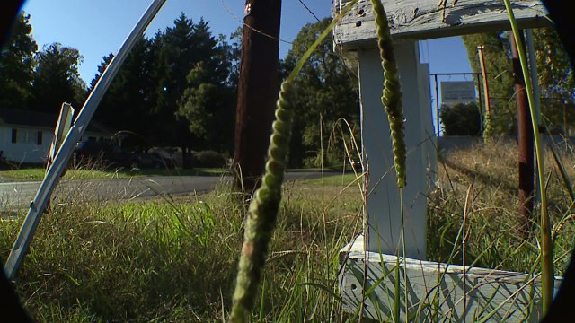 Parents Concerned After School Bus Caught Not Using Stop Arm