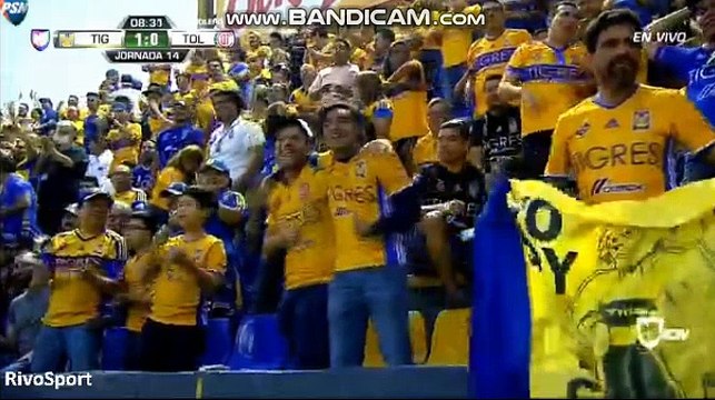 Andre-Pierre Gignac Goal ~ UANL Tigres vs Deportivo Toluca 1-0