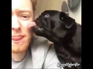 Köpeğini Kendi Silahıyla Vuran Adam