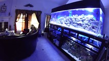ebay LED reef lights Light fish saltwater Aquarium