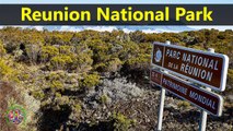 Best Tourist Attractions Places To Travel In France | Reunion National Park Destination Spot - Tourism in France