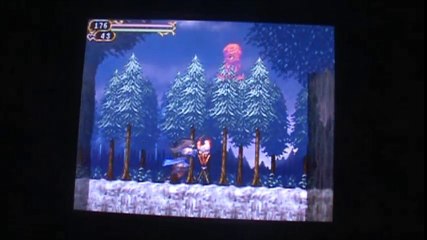 Castlevania Order of Ecclesia - Ruvas Forest - 2