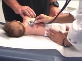 Infant Physical Exam; Pediatric Exam-Infant