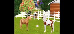 The birth of Logic Movie - Sims 3 Pets - Chincoteague Pony breeding