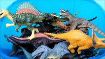 Dinosaur Box Toys, Jurassic Dinosaurs, Safari Animal, Jungle Animals, Action Figures, Dragons