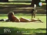 The Prank of the most funny DOG video clips,funny viedos