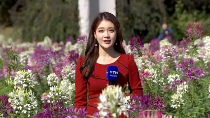 [날씨] 내륙 맑고 선선...해상 거센 풍랑, 해안도 강풍 / YTN