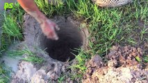 Awesome!! Clever Man Catch A Lot Of Crab In Rice Field By Deep Hole Crab Trap With Plastic Pipes