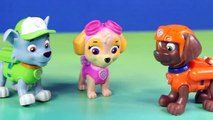 Paw Patrol Shark Attack Chase Marshall Rocky Skye Rubble Become Mer Pups Learn Colors Learn Painting